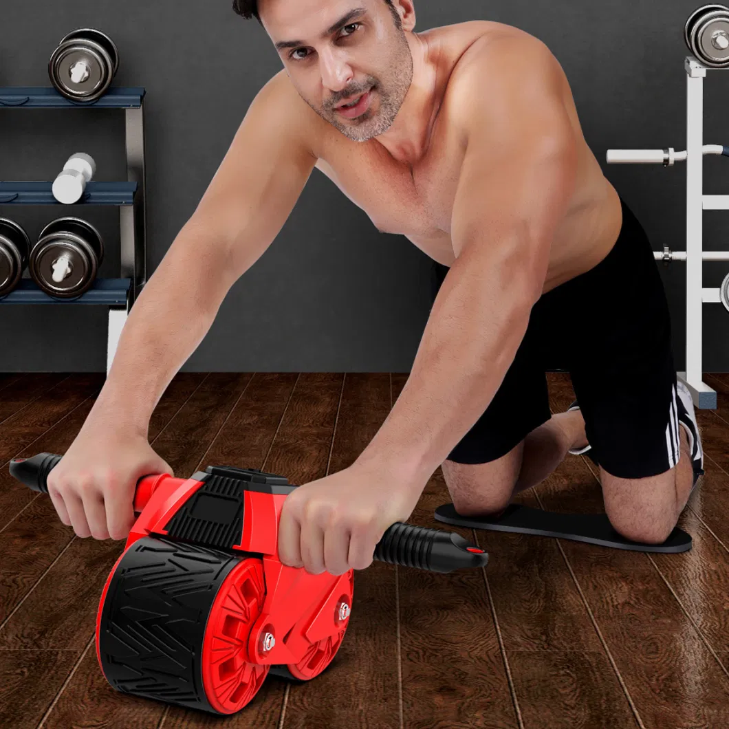 New Style Indoor Professional Two Wheel Ab Wheel Roller Suitable for Male and Female