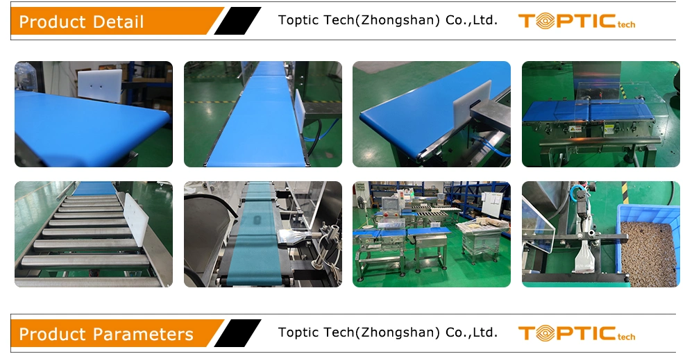 Chinese Automatic Digital Weighing Scale/Conveyor Belt Roller Scale/Check Weight Machine