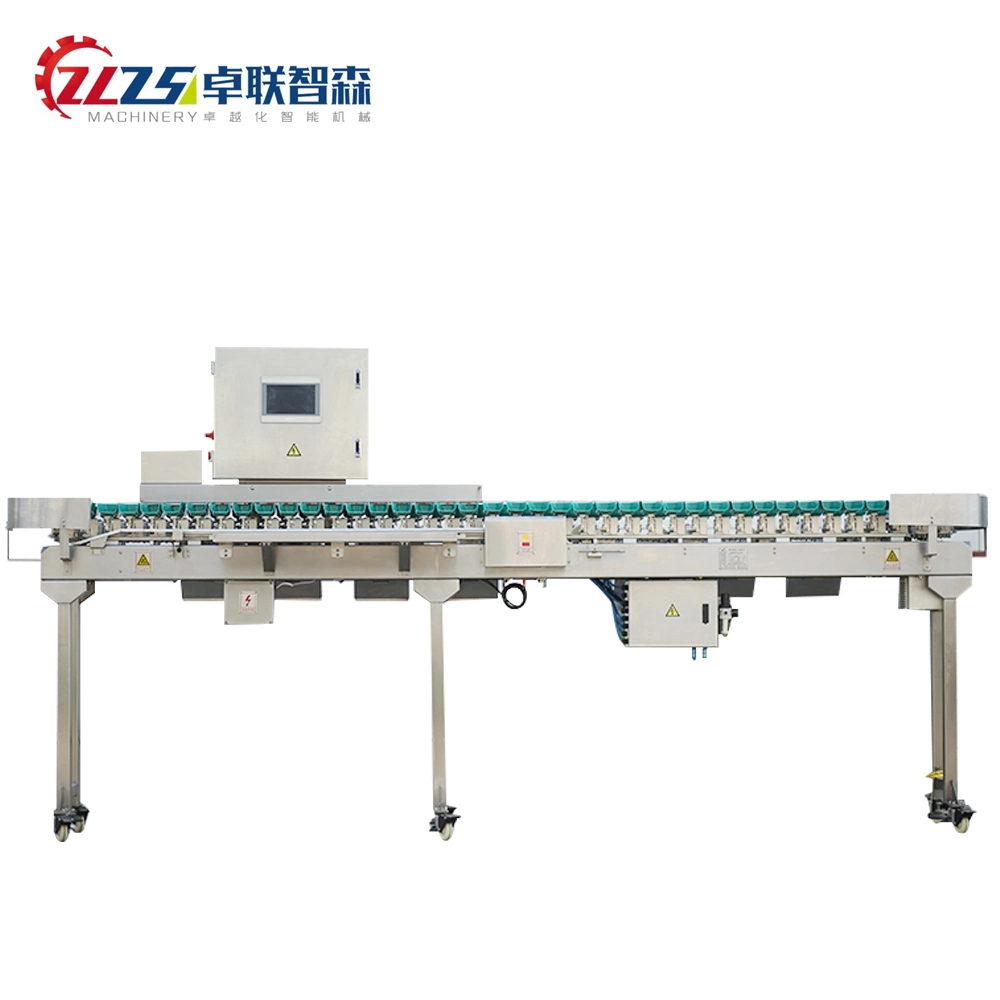 Industrial Dynamic Food Weight Checker with Roller Rejector Sortation Logistics Non-Powered Roller Scales
