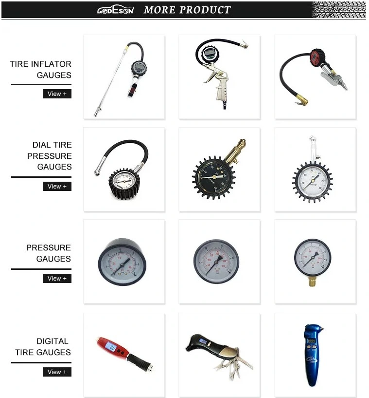 Nickel Plated Brass Tire Valve and Inflatable Extension Tube