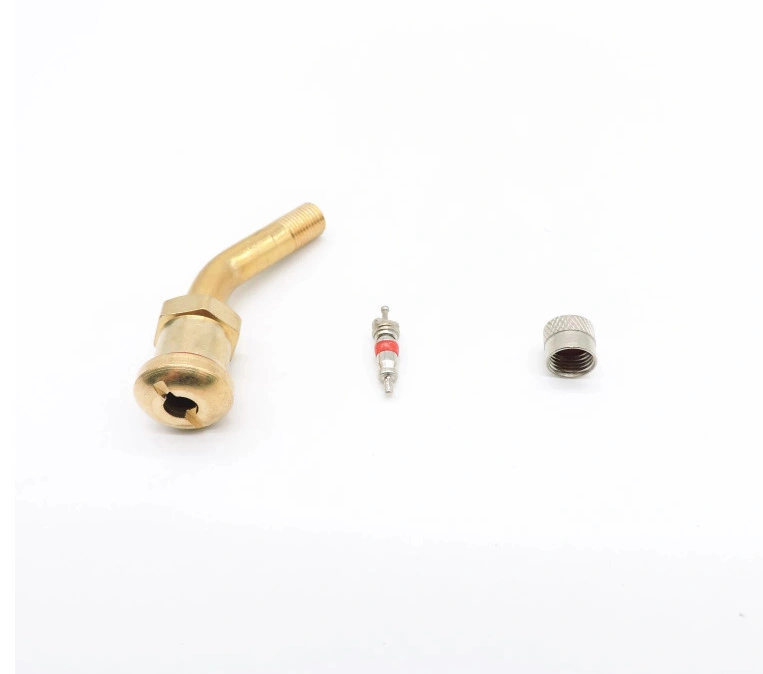 High Quality V3-22-1 Brass Tyre Valve for Passenger Car for Auto Parts/Auto Accessories
