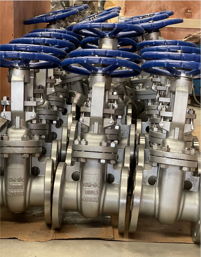 Stainless Steel Carbon Ss CF8/Wcb Weld End/Flange Wedge Gate Valve