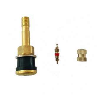 Tr571 Heavy Truck Tubeless Tire Valve Metal Clamp-in Brass Valves for Truck