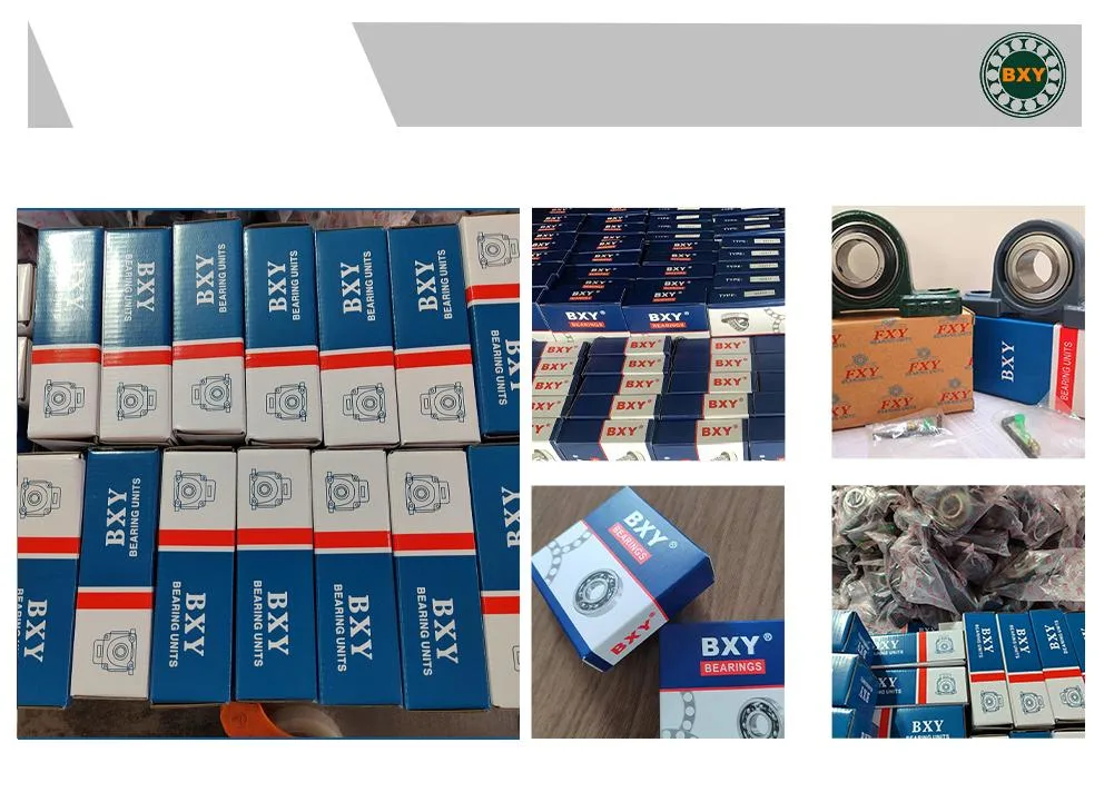 Factory Hot Sale The Bearing Unit/Housing and Pillow Block Bearing Gg. Me Ggmeo Gg. Fe