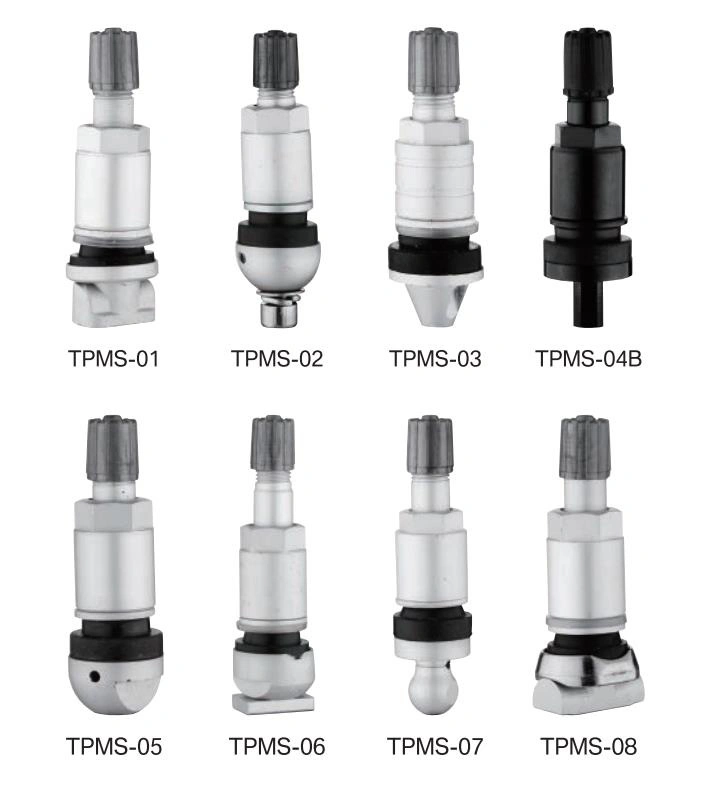 TPMS-05-Stainless Steel TPMS Tire Pressure Sensor Valves