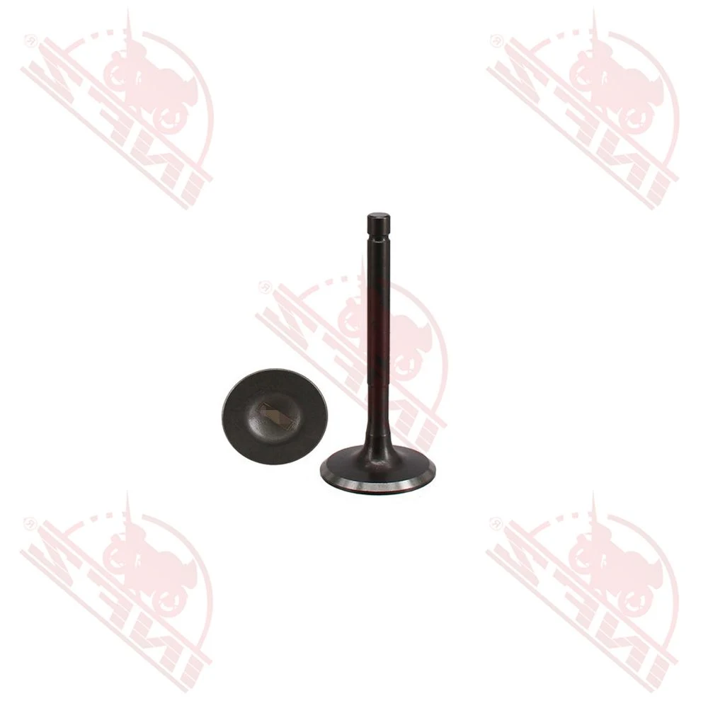 Infz Motorcycle Parts Supplier Dy150gy-6 High-Quality Motorcycle Engine Valve China Motorcycle Engine Intake Valve for YAMAHA-Ybr125