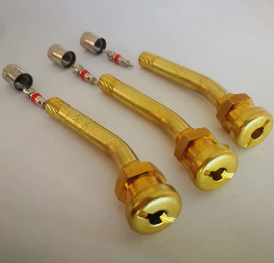 High Quality Tubeless Metal Truck Tire Valves Tr570/Tr571 Brass Clamp-in Tire Valve for Bus Tr501