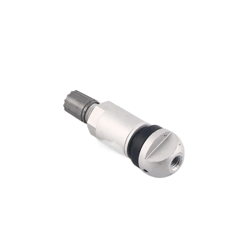 TPMS-05-Stainless Steel TPMS Tire Pressure Sensor Valves