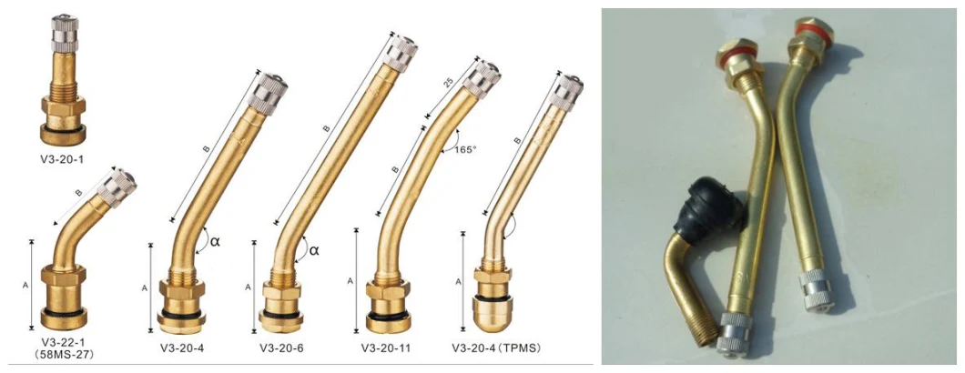 Car Tire Valve Trj650-3 Supply Hearvy Truck Van Bus Tubeless Tyre Valve/Tire Valve for Steel Wheels