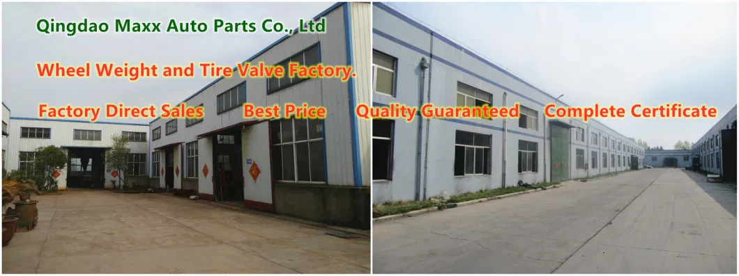 Manufacturer in China Tr618A Brass Truck Tire Valves/Tyre Valves/Truck Valves