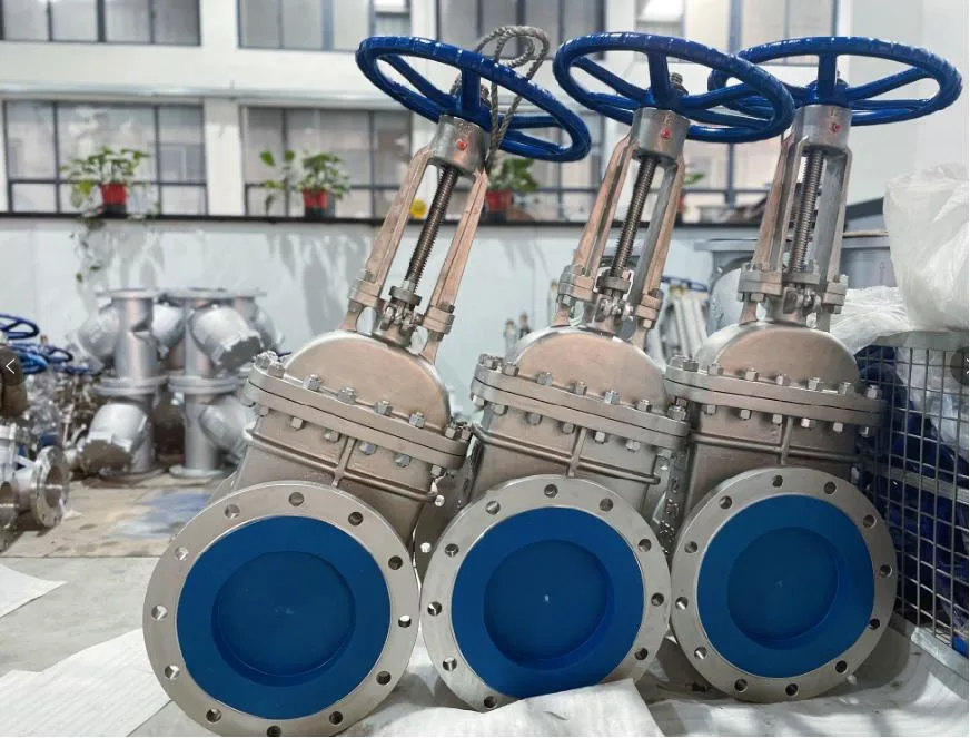 Industrial Valve Gate Valve JIS B2071 JIS 10K/20K Rising Stem Stainless Steel CF8/CF8m/Wcb