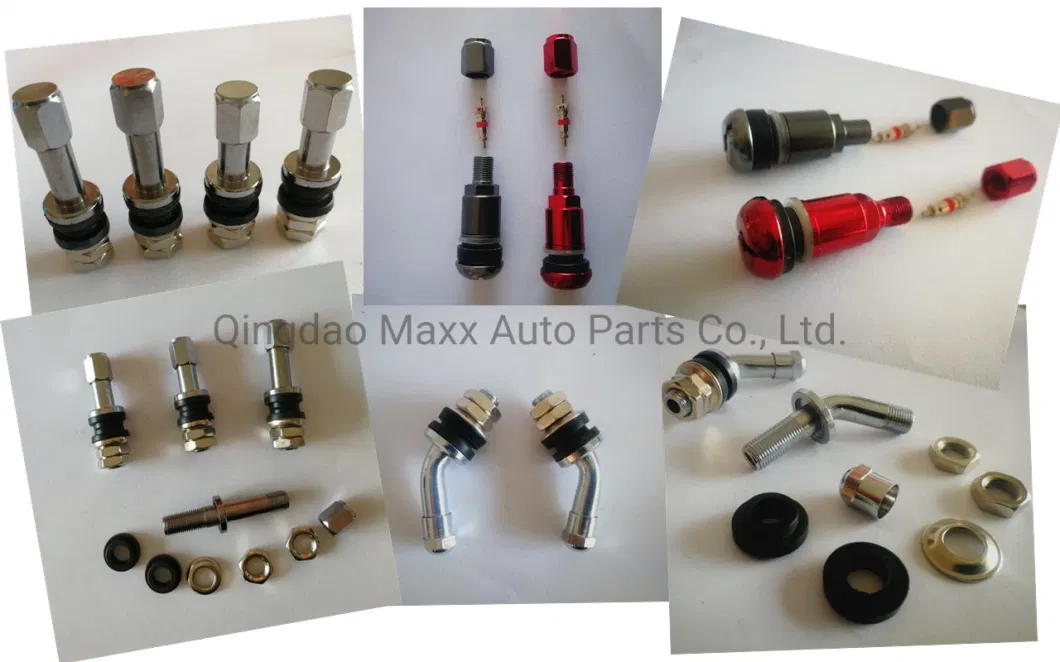 Tubeless Metal Clamp-in Tire Valves