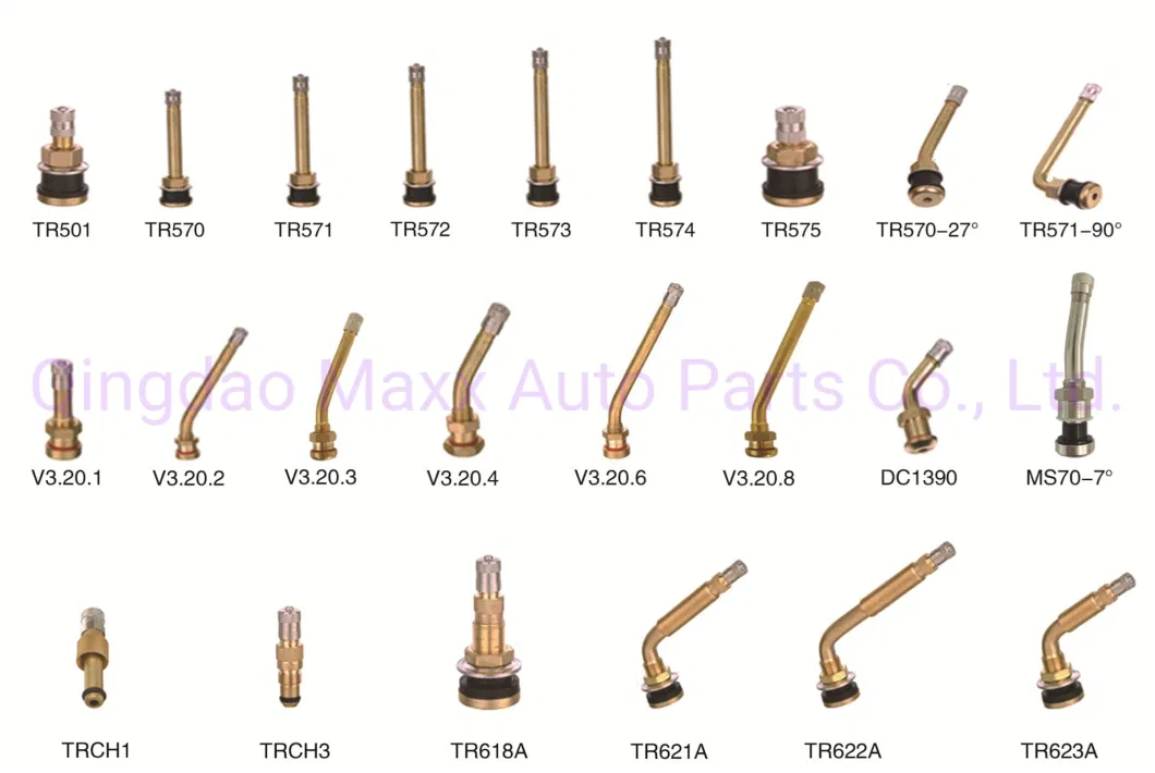 High Quality Tubeless Metal Truck Tire Valves Tr570/Tr571 Brass Clamp-in Tire Valve for Bus Tr501