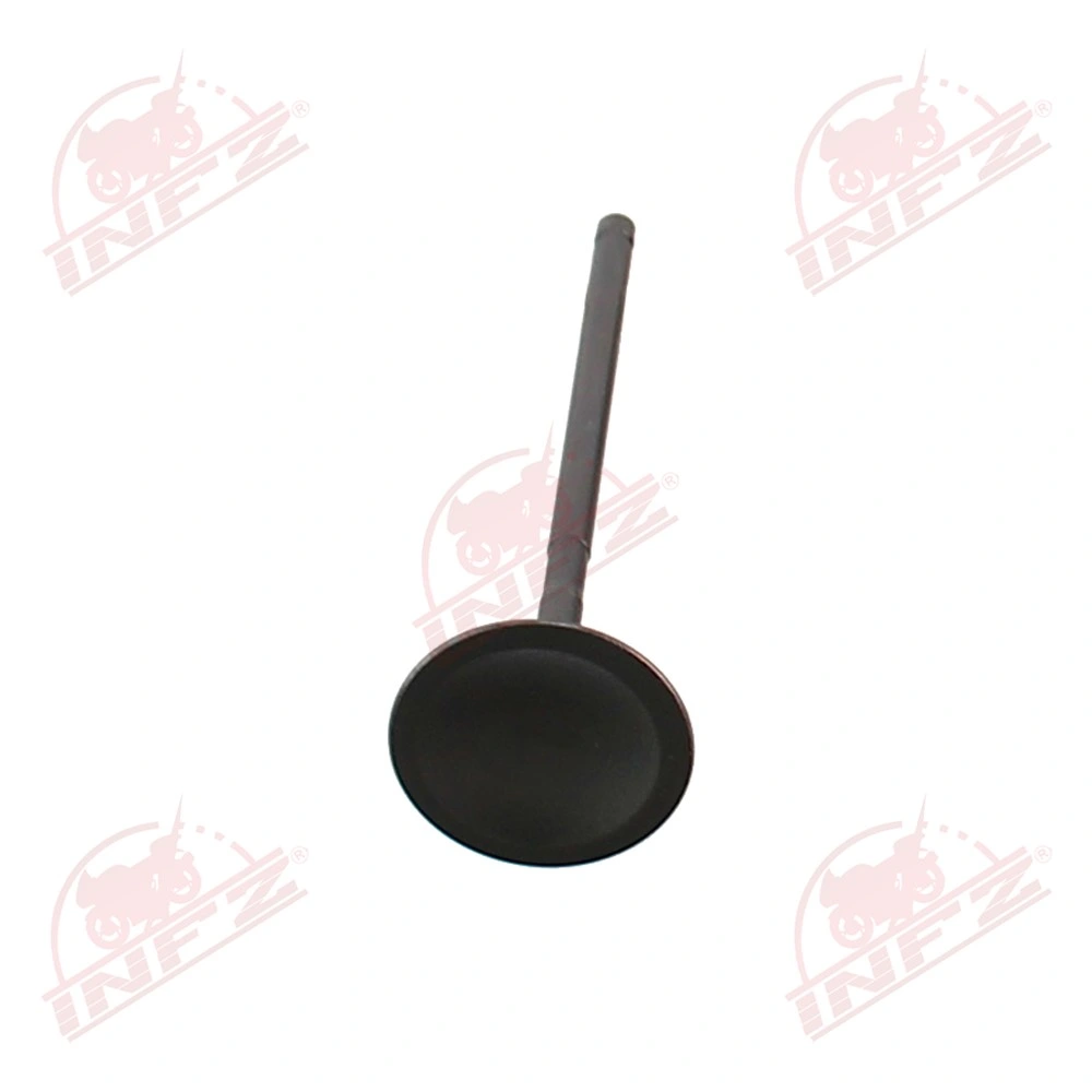 Infz Motorcycle Parts Supplier Dy150gy-6 High-Quality Motorcycle Engine Valve China Motorcycle Engine Intake Valve for YAMAHA-Ybr125