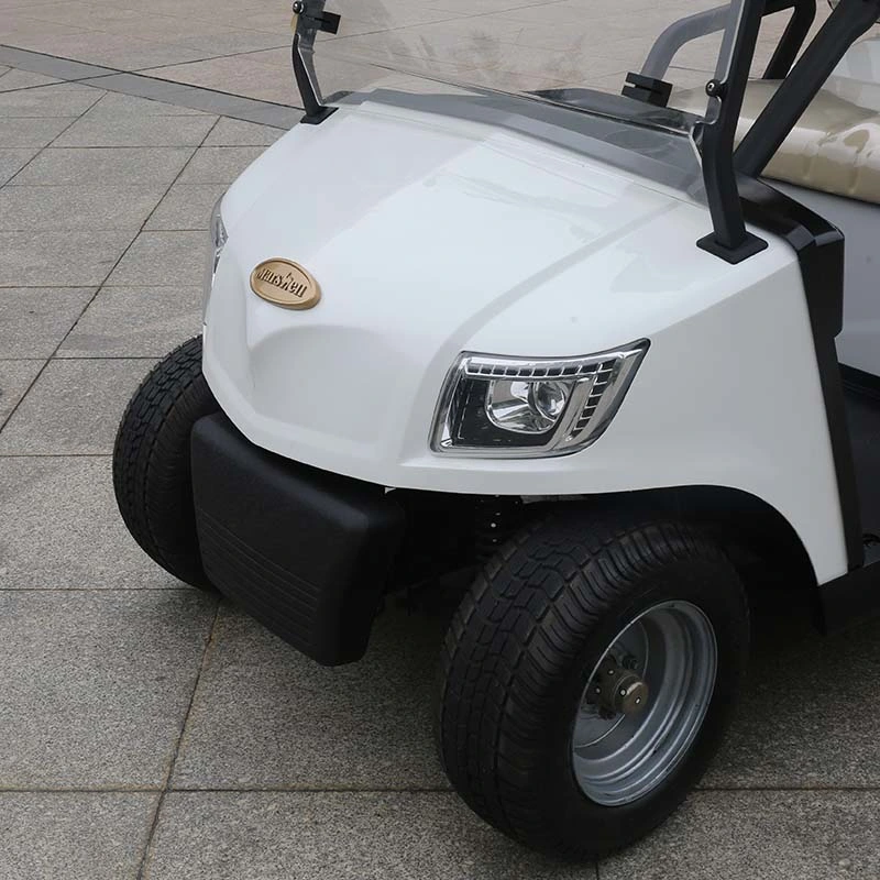 Marshell Rear Mechanical Drum Brake 490kg (Without Battery) Net Weight Electric Golf Buggy (DG-M2)