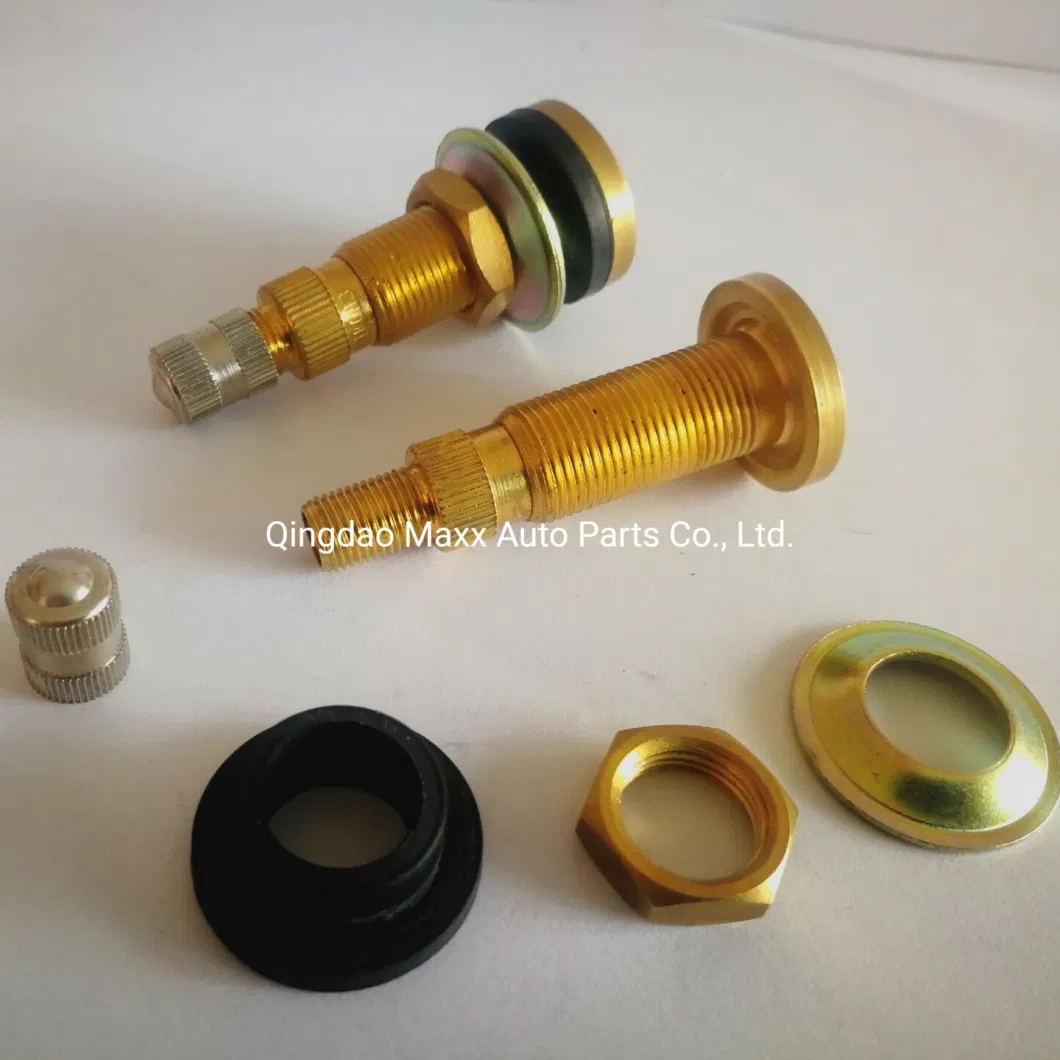 Manufacturer in China Tr618A Brass Truck Tire Valves/Tyre Valves/Truck Valves