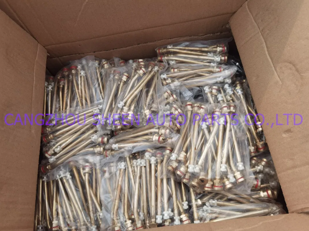 Manufacture Car Tire Valve Truck Tubeless Tyre Valves Tr500 Tr501 Tr502 Tr503