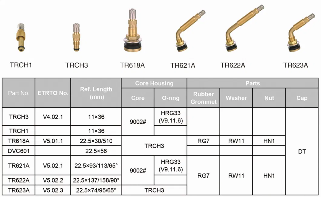 Manufacturer in China Tr618A Brass Truck Tire Valves/Tyre Valves/Truck Valves