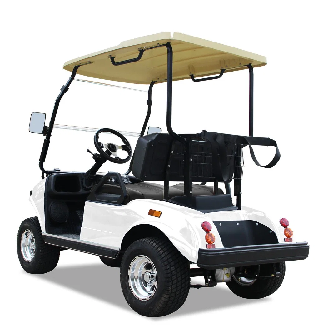 Factory Sales 2 Passenger Electric Golf Cart for Sale Golf Buggy