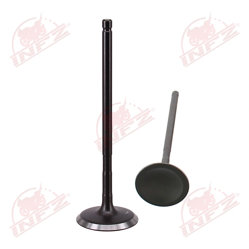 Infz Motorcycle Parts Supplier Dy150gy-6 High-Quality Motorcycle Engine Valve China Motorcycle Engine Intake Valve for YAMAHA-Ybr125