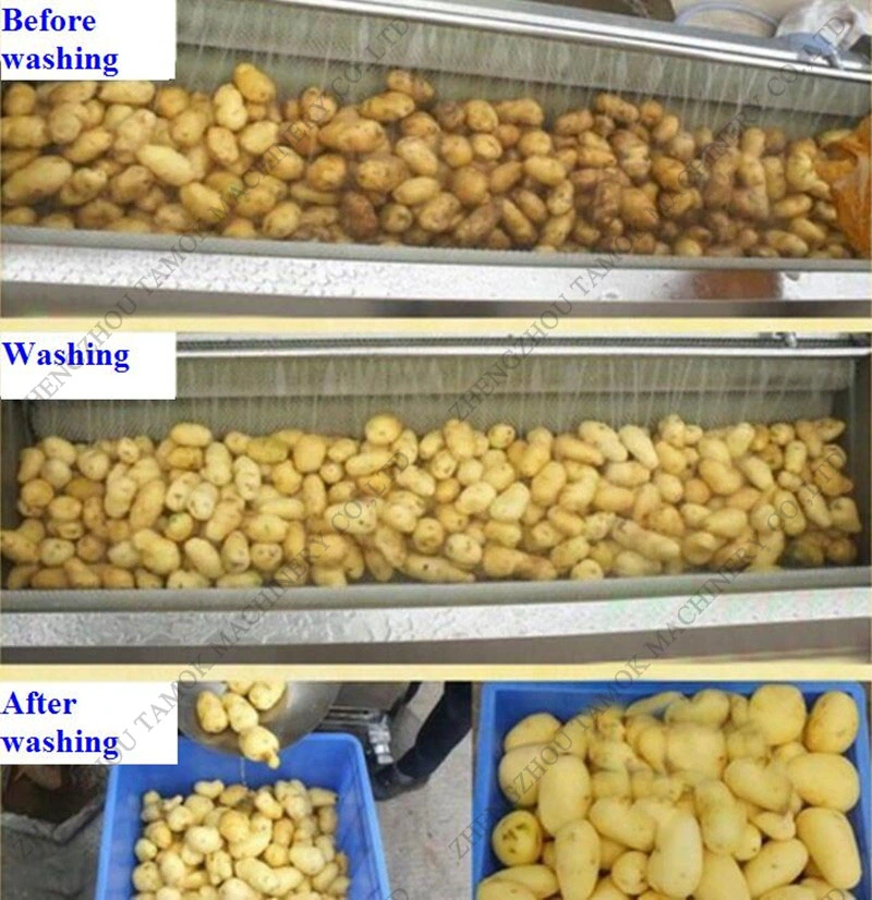 Cassava Sweet Potato Washer and Peeler Potato Skin Remover