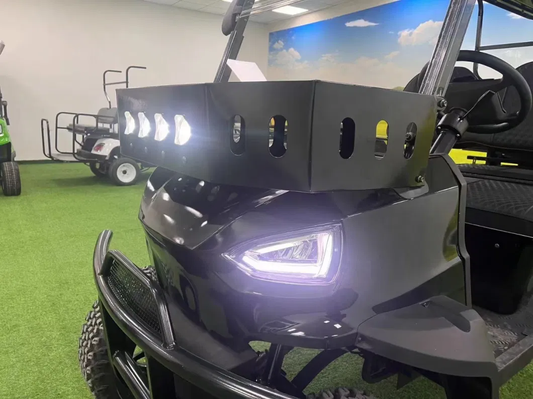 Customized Motor Lithium Battery Powered Lead Color Type Golf Cart