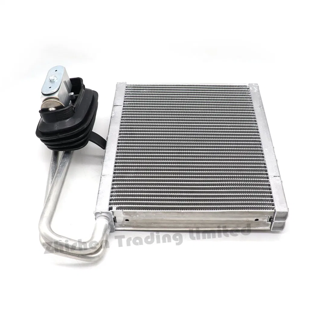 Baic Auto Spare Part Auto Accessory Car Spare Part Evaporator Evaporation Box Core with Expansion Valve for Shenbao D50 X55 Bjev Ex5 EU260 EU300 EU400 Zhixing