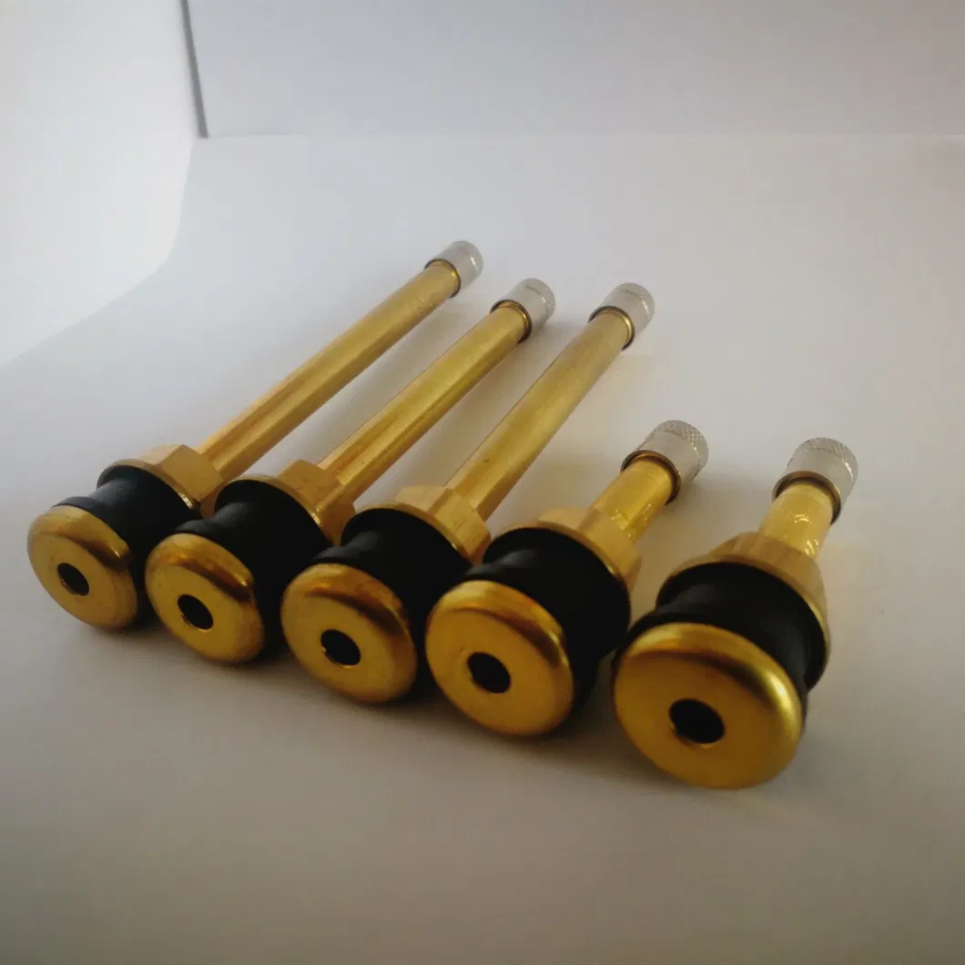 Tr570 Tubeless Truck Tyre Valves Metal Clamp-in Tire Valve for Truck