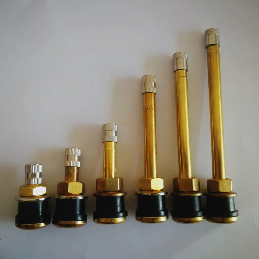 Tr571 Heavy Truck Tubeless Tire Valve Metal Clamp-in Brass Valves for Truck