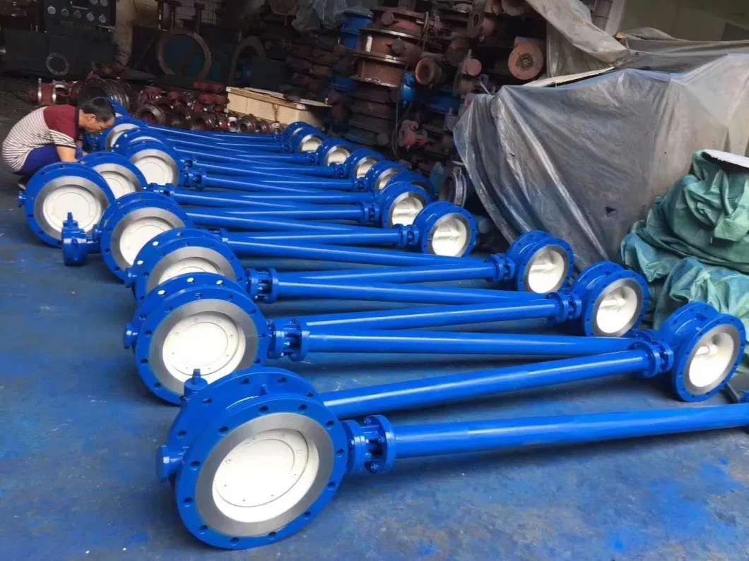 D373W-16p DN150 SS304 High Performance Butterfly Valve Extended Stem A217/A351 /Wcb/CF8 Pn16/150lb/300lb /JIS5K/JIS10K