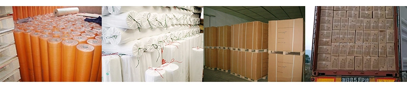 Fiberglass Net, Eifs Mesh, Fiberglass Mesh Used for Construction Material China Supplier