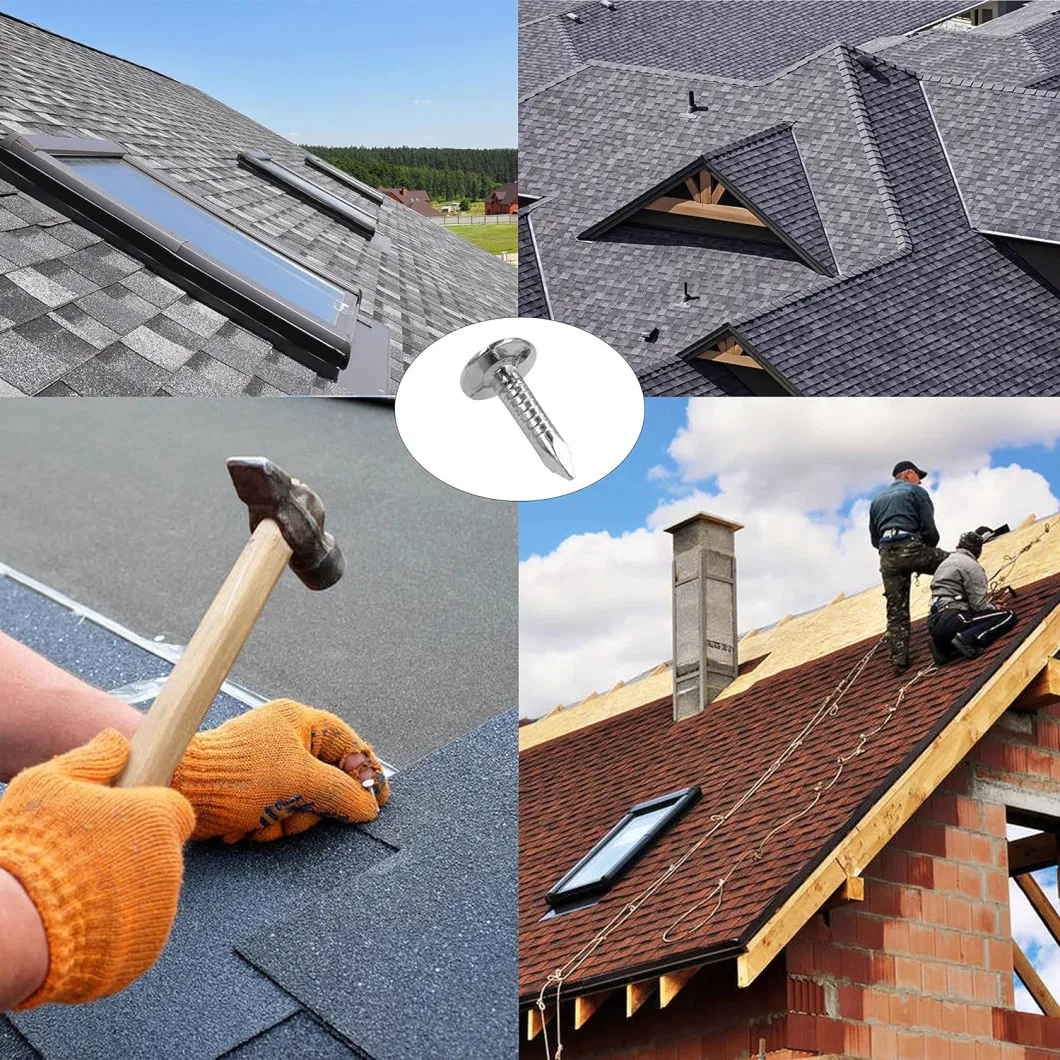 Steel Roofing Felt Nails, Roofing Felt Pins Suit for Shed Roof Roofing Felt Slate Boards, Broad Head Pins