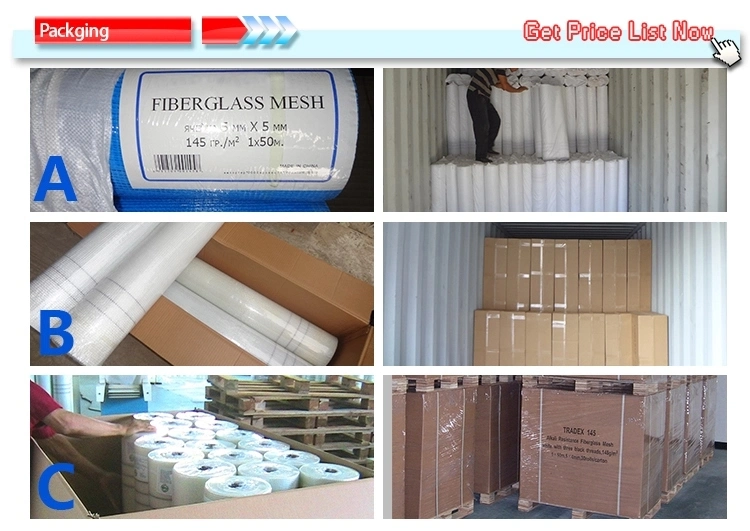 Made in China Alkali Resistant Fiberglass Mesh