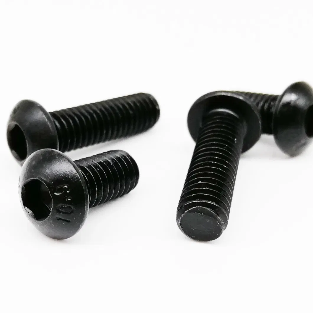 Manufacturer Button Head Torx Stainless Steel Screws with Nylon Patch ISO7380