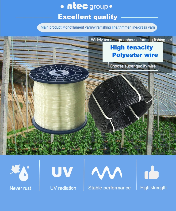 1.0mm-5.0mm Grape Planting Line Polyester Monofilament Wire Plastic Steel Wire