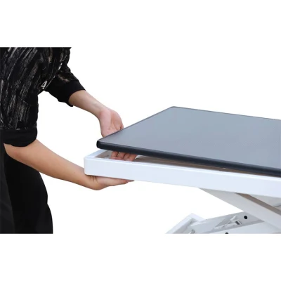  Pets Proofing Electric Lifting Folding Beauty Low Low Electric Lifting Pet Grooming Table