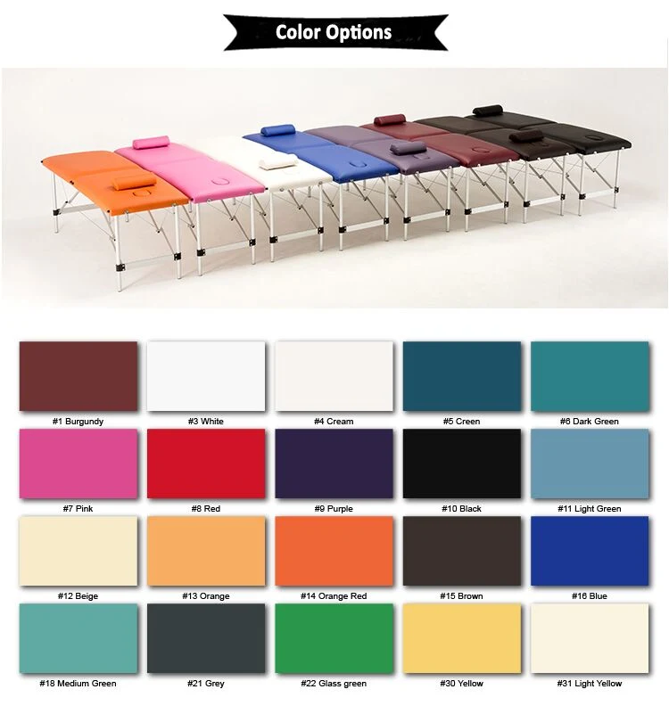 Buy Shistsu Best Portable Commercial Lightweight Aluminium Folding SPA CE Massage Table