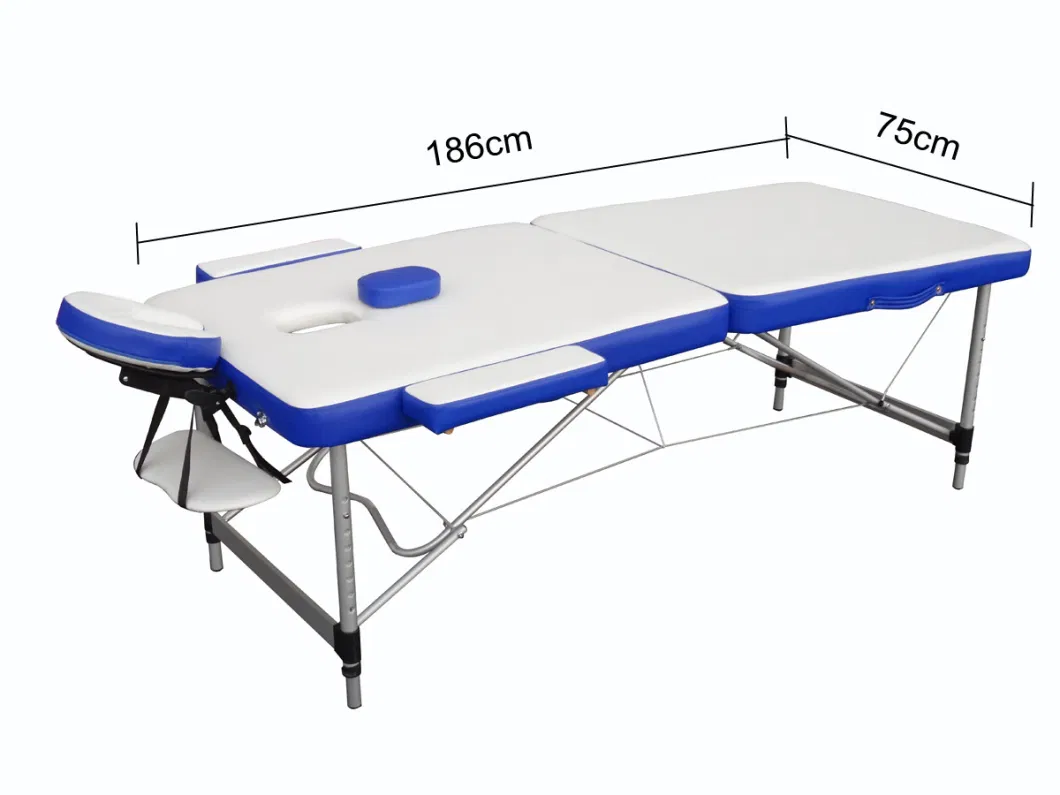 Buy Shistsu Best Portable Commercial Lightweight Aluminium Folding SPA CE Massage Table