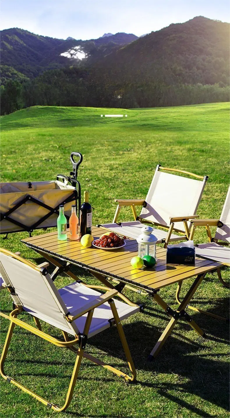 Outdoor BBQ Picnic Camping Folding Portable Metal Carbon Steel Egg Roll Table
