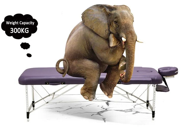 Buy Shistsu Best Portable Commercial Lightweight Aluminium Folding SPA CE Massage Table