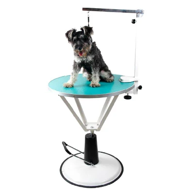Fabricados en China Venta caliente Vet Elevación hidráulica Pet Grooming table plegada para pequeños animales