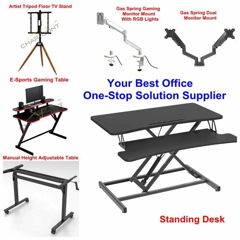 New Design Foldable Desk Computer Desk Standing Desk Household Study Learning Table