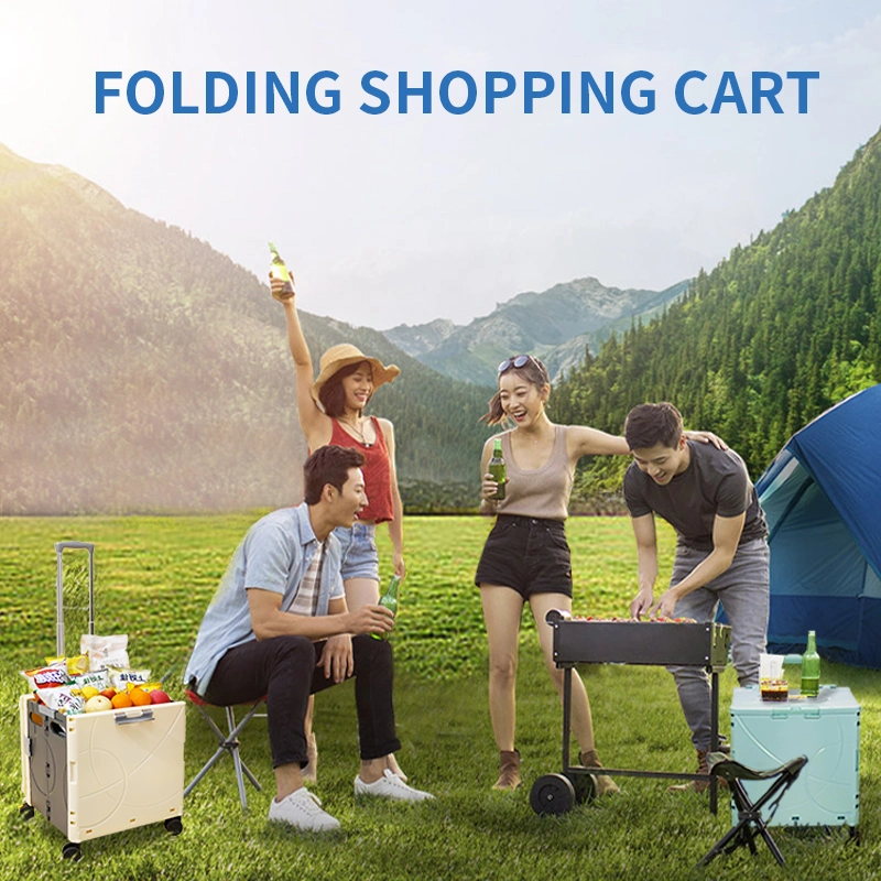 Bubule PP Portable Foldable Folding Table Desk Camping Outdoor Picnic Furniture