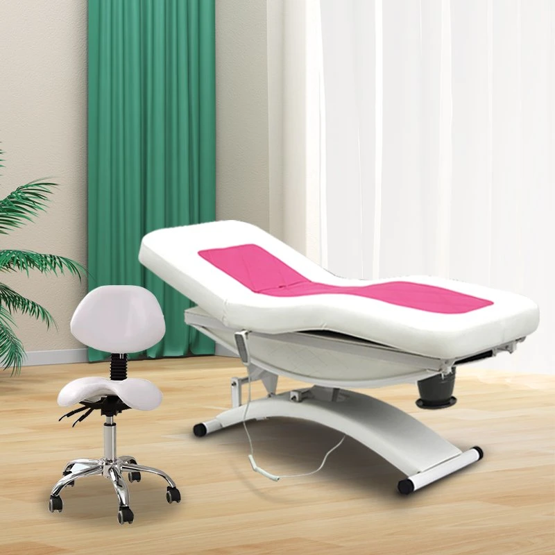 Electric Facial Beauty Bed and Beauty Bed Chair White Massage Table Bed Salon Barber Chair Fold Dental Chair Sets