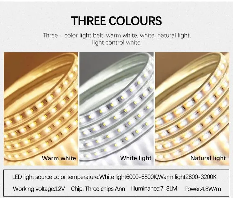 Bathroom Front and Back Light Oval LED Mirror Oval Lighting Mirror Bathroom Anti-Fog Mirror IP54 Waterproof