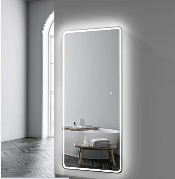 Full Length Wall Decor Vanity Bathroom Smart LED Dressing Floor Stand Mirror