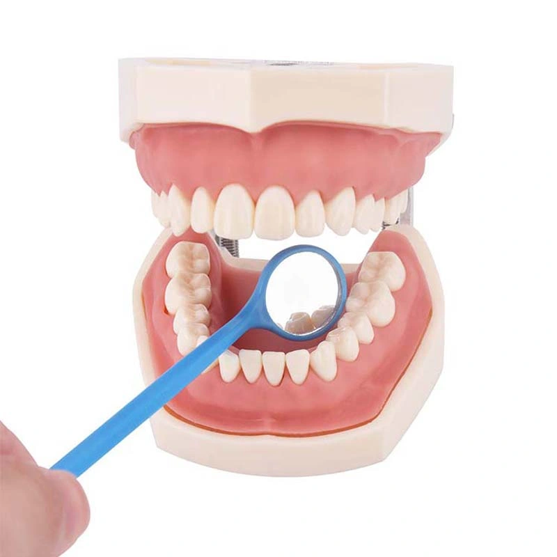 Clinic Dedicated Oral Dental Check-up One-Time Mouth Mirror