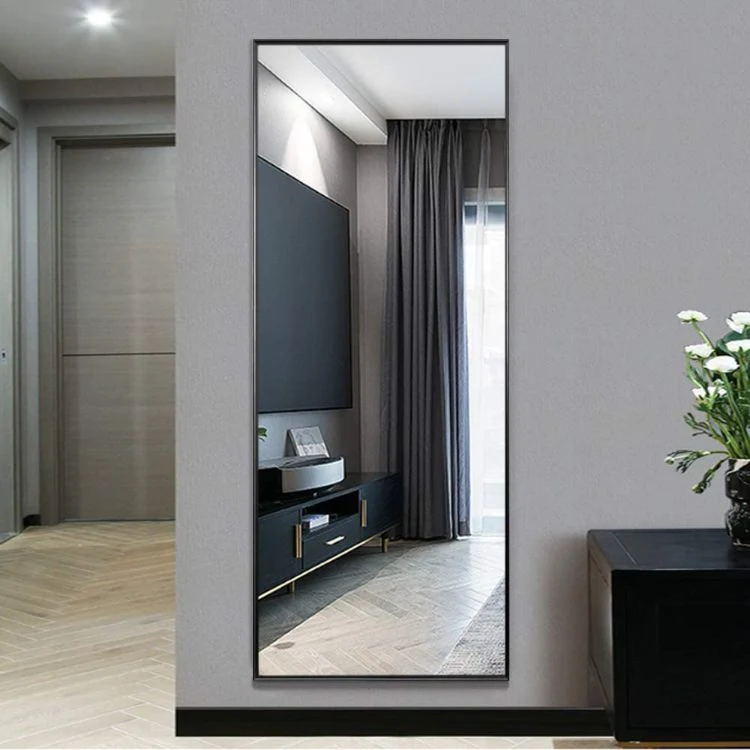 Contemporary Modern Stylish Aluminum Alloy Fitness Floor-Standing Full-Length Mirror for Home Decor