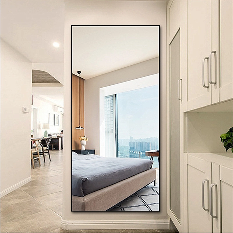 Aluminum Alloy Full Body Floor Mirror Household Modern Minimalist Dressing Mirror 0022