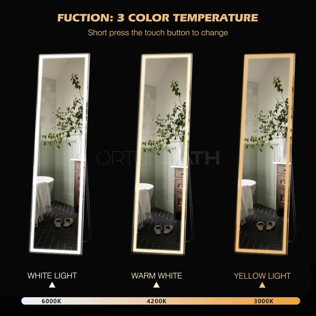 Ortonbath Front Lit Rectangle Free Standing LED Lights Rectangle Lighted Mirror Floor Standing Full Body Mirror with Touch Button and Plug Full Length Mirror